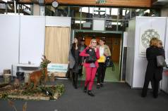 Mini IMG 3761